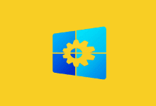 Windows Manager 10/11
