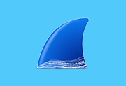Wireshark