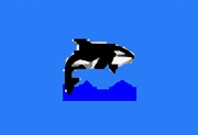 Orca