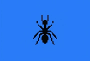 12-Ants