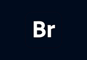 Adobe Bridge 2026