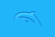 Dolphin