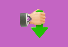 Internet Download Accelerator Pro