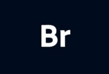 Adobe Bridge 2024