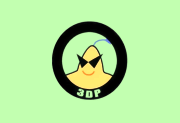 3DP Chip