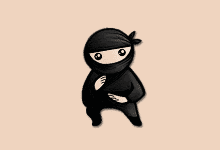 System Ninja Pro