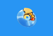 WinX DVD Ripper Platinum