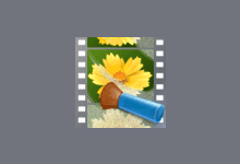 Neat Video Pro