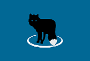 MetaFox