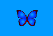 bkViewer